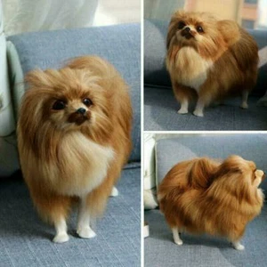Muñeca de juguete modelo de peluche realista perro Pomerania - Imagen 1 de 12