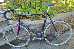 1995 TREK 2120 Carbon Fiber Road Bike- Ice Violet 62 CM frame-Needs a tune up - Picture 1 of 12