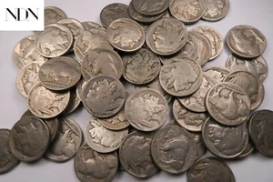 Lote mixto de 500 níquel búfalo (12,5 rollos) - mezcla de fecha parcial/completa - 500 monedas - Imagen 1 de 3