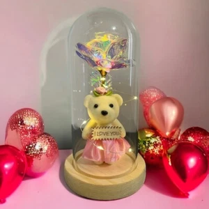 Rose in Glass Dome with Bear LED Gifts for Her Women Rose Alout - Picture 1 of 14