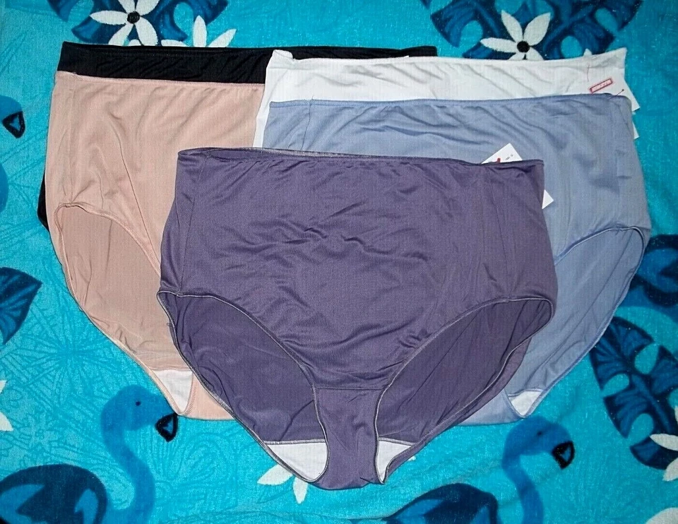 Colors ~ HANES Microfiber BRIEF Panties   Size 8 or 10  NEW - Image 1 of 1
