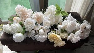 Riesiges Set Seide Faux langer Stiel Pfingstrose Blumen creme & weiß/hellbraun Ashland neu - Bild 1 von 17