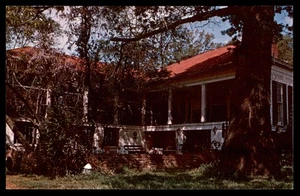 Postcard BLUEBONNET FARM built in 1840's, Jefferson, Texas - Picture 1 of 2