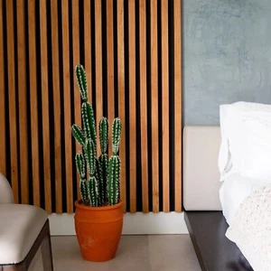 41” Artificial Cactus in Terracotta Planter Home Decor. Retail $134 - Picture 1 of 6