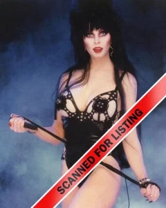 ELVIRA MISTRESS OF THE DARK CASSANDRA PETERSON 8x10 PHOTO #347 - Picture 1 of 1