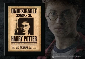 Harry Potter - Quadro "Indesiderabile n.1" - Foto 1 di 1