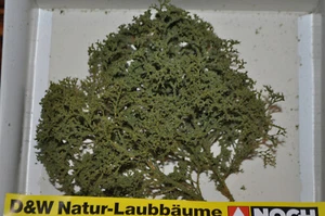 NOCH HO #2385 Realistic Natural Deciduous Trees for Layout/Diorama - New in Pkg - Picture 1 of 3