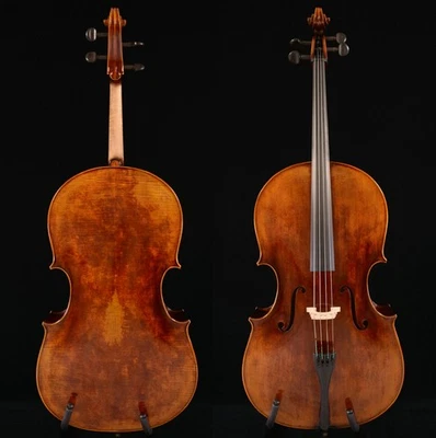 Violoncello Montagnana 1739 Bella Addormentata Suono Incredibile n.W55 - Immagine 1 di 4