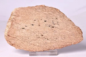 ZIRCON, Metaconglomerate Narryer Gneiss Slice, Jack Hills, Australia S619 - Bild 1 von 4