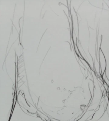 Hand Drawn Pencil Penis Anatomical Male Nude Phallus Graphite Drawing NSFW A3  - Image 1 of 4