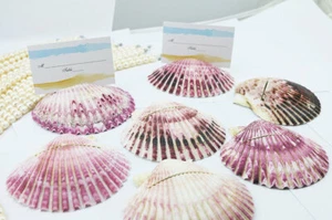 10 Natural Shell Place Card Holder Beach Wedding Favor Party Decor Table Seating - Bild 1 von 6