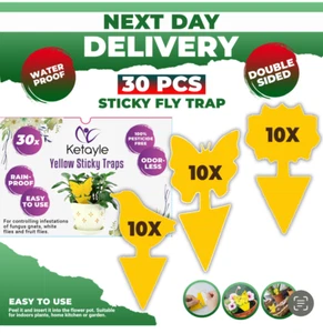 30 PCS Fruit Fly Traps Double sided Fungus Gnat Sticky Catcher Fly Traps Catcher - Picture 1 of 7