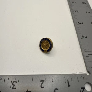 Pfadfinder BSA 30 Jahre Veteran Pin 84A-1743B - Bild 1 von 2