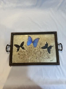 ANTIQUE MORPHO BUTTERFLY WINGS PRESSED FLOWER BOTANICAL TRAY WITH HANDLES - Picture 1 of 11
