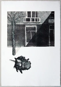 Daniel Wagenblast *1963: Las Palmas Radierung Gran Canaria Rose 1991 SELTEN - Bild 1 von 6