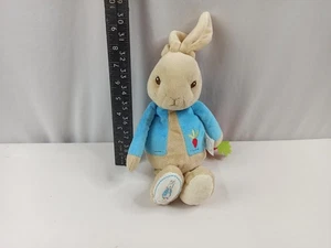 Peter Rabbit spielt Brahms Wiegenlied Zugschnur Regenbogen-Designs 12 Zoll Stofftier Plüschtier - Bild 1 von 13