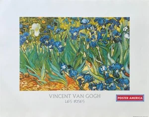 Stampa artistica vintage Vincent Van Gogh Les Iris 22 x 28 - Foto 1 di 1