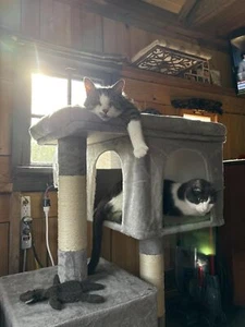 Cat Tree Tower 26" w/ 2 Caves, Perch, Scratching Posts, Light Gray - Picture 1 of 12