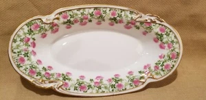 DELINIERES & CIE (D & C) L. BERNARDAUD Limoges PINK ROSES Oval Porcelaian Dish - Picture 1 of 8