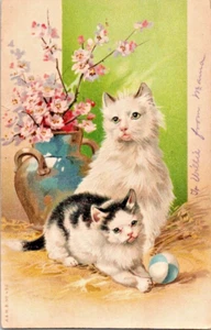 Entzückende flauschige Katzen spielen mit einem Ball 1907 ungeteilte Rückseite Postkarte A92 - Bild 1 von 2