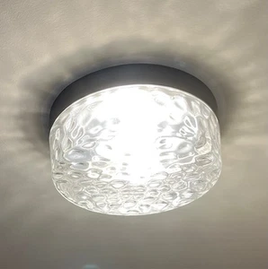 Clear Glass Flush Mount Ceiling Light With Satin Nickel Fixture - Picture 1 of 5