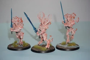 Warhammer Age of Sigmar Kurnoth Hunters x 3 - Painted - Picture 1 of 9