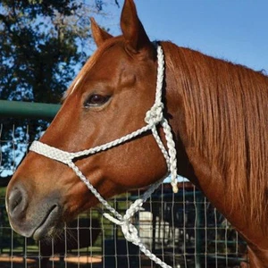 INCREÍBLE HALTER DE CINTA DE MULA MARTIN SADDLERY CON PLOMO - Imagen 1 de 4