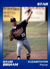 1990 Elizabethton Twins Star #4 David Bigham North Mankato Minnesota MN Card