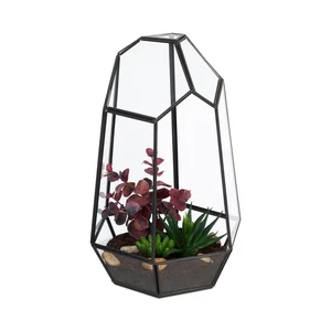 Pflanzenterrarium Indoor Dekogewächshaus Sukkulenten Terrarium Tischterrarium - Bild 1 von 7