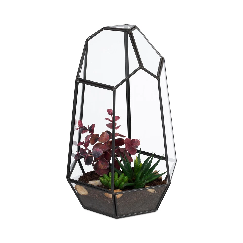 Pflanzenterrarium Indoor Dekogewächshaus Sukkulenten Terrarium Tischterrarium - Bild 1 von 1