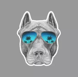 Pitbull con magnete frigo per occhiali da sole - Foto 1 di 3