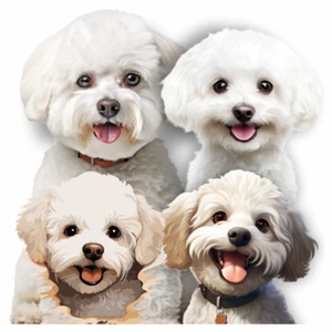 Pegatinas Bichon Frise para computadora portátil contenedor cubierta de automóvil marcas artesanías calcomanías de pared gráficos para perros - Imagen 1 de 13