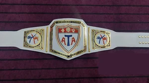 Martial Arts, Taekwondo Championship Trophy Belt,Personalized Karate Champions - Picture 1 of 2