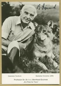 Bernhard Grzimek (1909-1987) - Célèbre zoologiste allemand - Jolie photo signée - Picture 1 of 1