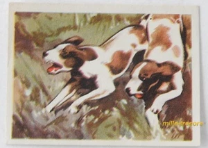 Bild CHROMO Schokolade MARTOUGIN Nr. L11 Hunde für Album Raubjäger - Bild 1 von 2