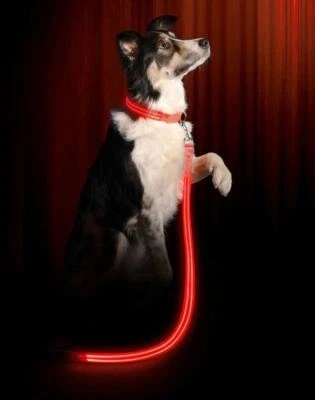 ILLUMINATED RED Dog Pet Puppy Night Safety COLLAR and LEASH USB Rechargeable - Image 1 of 4