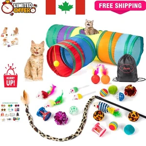 Complete 21-Piece Cat Toy Set with Tunnel & Jingle Balls - Safe and Durable - Picture 1 of 9