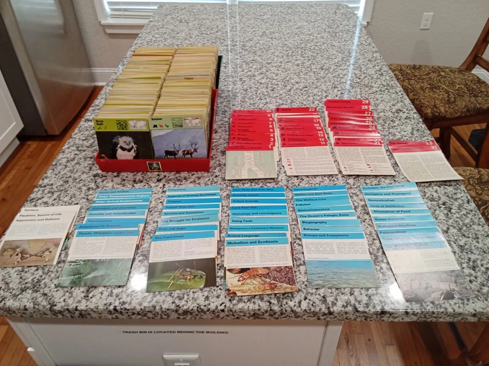 Rencontre Safari Cards Of Knowlege 1970s Huge Lot 3,400 w/ Trays Rencontre Rare. - Image 1 of 4