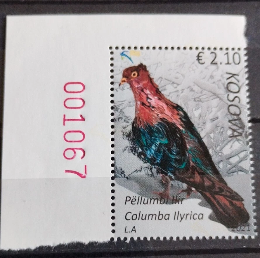 Kosovo 2021 - Timbre Pigeons Neuf** - Photo 1/1