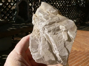Big Display! QUARTZ "Catherdral Habit" CLUSTER Col Brazil #J597 - Picture 1 of 2