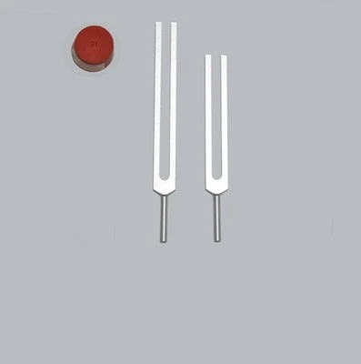 TFS TUNINGFORKSHOP 2Pc Whole Body C & G Tuning Forks Tuners FREE Activator sound therapy