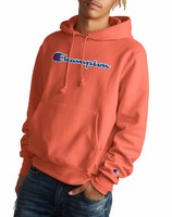 Champion Reverse Weave Sweatshirt Pullover Hoodie Life Men Script Chenille Logo