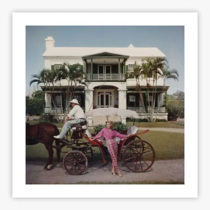 Bermudan Hostess (Matte or Gloss Poster/Print) #65241 - Bild 1 von 3