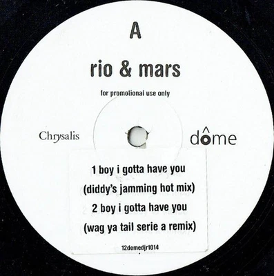 Rio & Mars - Boy I Gotta Have You Elec 12" Single Promo Schallplatte 189089 - Bild 1 von 4