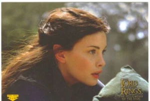 Lord Of The Rings FotR Puzzle Sticker Chase Card 9 Of 10 - Foto 1 di 1