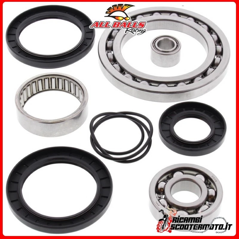 Hinterachs-Diff.-Lager und Öldichtungssatz All Balls Cf Moto Rancher 500 CF500-5 Foto 1 de 1