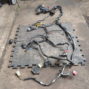 Honda CBR600 FV F3 Kabelbaum / Kabelbaum, 1996-1998. - Bild 1 von 13