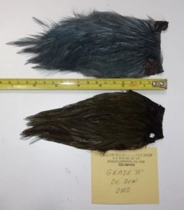 2 Hackles - small amount of usage - Picture 1 of 1