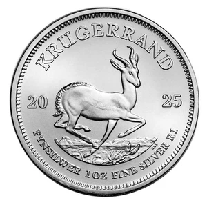 Silber Krügerrand Südafrika 2025 1 oz Stempelglanz - Bild 1 von 11