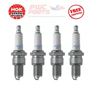 YAMAHA 21' Boat NGK OEM Spark Plug Se 2006-2019+ AR210 SX210 AR230 SX230 110 - Foto 1 di 1
